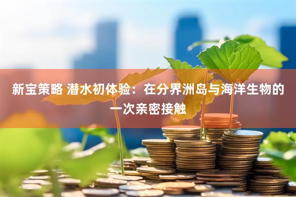 新宝策略 潜水初体验：在分界洲岛与海洋生物的一次亲密接触