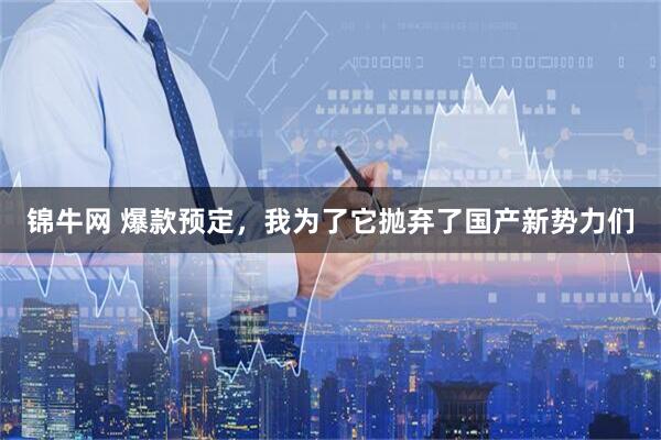 锦牛网 爆款预定，我为了它抛弃了国产新势力们