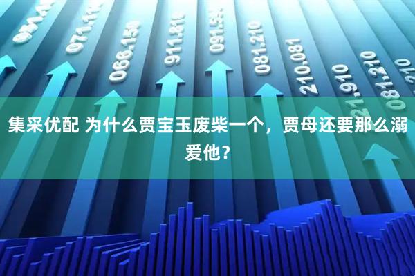 集采优配 为什么贾宝玉废柴一个，贾母还要那么溺爱他？